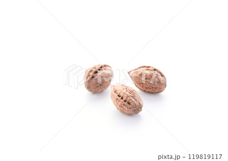 新潟県産 殻付き 和くるみ( 天然 くるみ ) 国産 無添加 無着色 新潟県産 殻付き 和くるみ( 天然 くるみ ) 国産 無添加 無着色 119819117