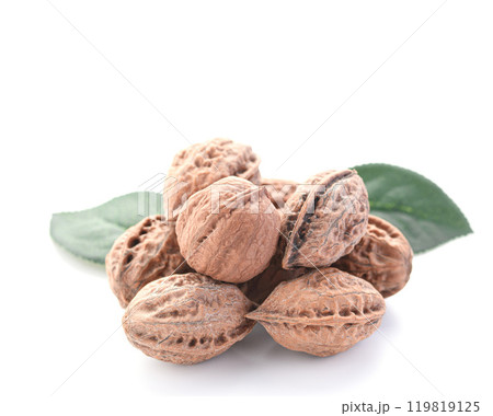 新潟県産 殻付き 和くるみ（ 天然 くるみ ） 国産 無添加 無着色  119819125