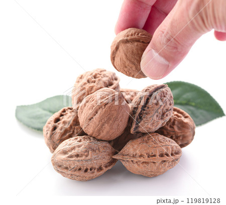 新潟県産 殻付き 和くるみ（ 天然 くるみ ） 国産 無添加 無着色  119819128