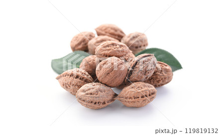 新潟県産 殻付き 和くるみ（ 天然 くるみ ） 国産 無添加 無着色  119819132