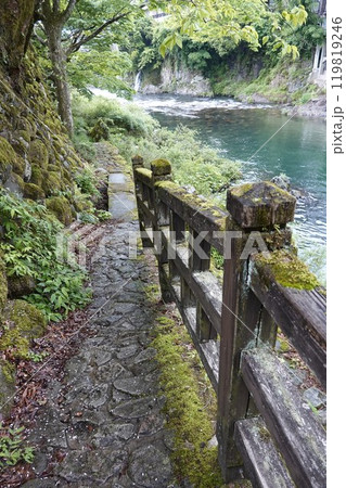 川沿いの遊歩道から見た新緑が美しい郡上八幡吉田川の清流 119819246