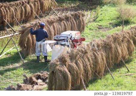 秋の里山で稲架掛の稲の脱穀作業をする農民の風景 119819797