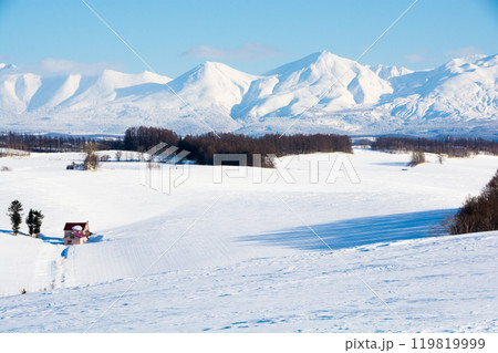 積雪の畑作地帯と山並み　十勝岳連峰 119819999