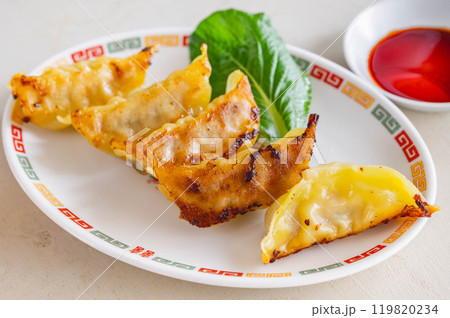 焼き餃子 焼き餃子 119820234