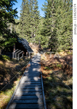 Dill valley, High Tatras mountain, Slovakia 119820274