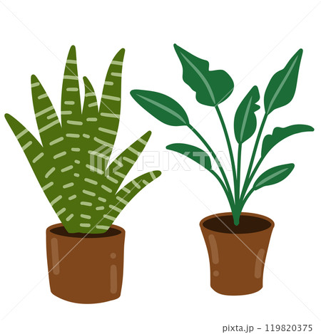 Hand drawn illustration elements of minimalist palm sanseviera snake plant fiddle leaf tree ficus. Pot simple beige terra cotta clay potted for urban jungle nature lovers indoor houseplants. 119820375
