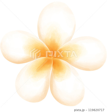 Aloha Hawaii 119820717