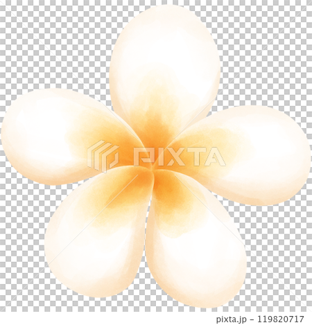 Aloha Hawaii 119820717