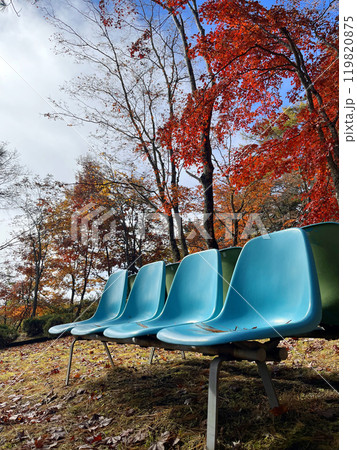 秋の紅葉と青いベンチ 119820875