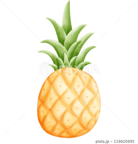 Aloha Hawaii 119820895