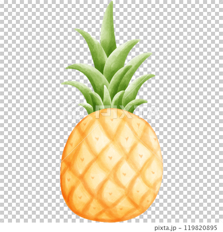 Aloha Hawaii 119820895