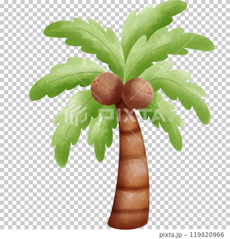 Aloha Hawaii 119820966