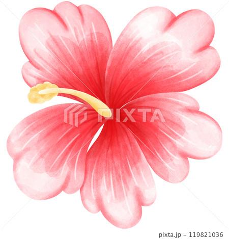Aloha Hawaii 119821036