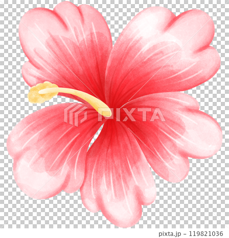 Aloha Hawaii 119821036