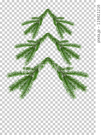Green spruce, on isolated background. Coniferous tree without background 119821216