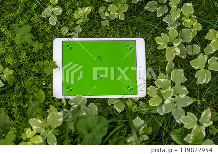 Chroma key display against a background of greenery and meadow grass close up. Green screen mock up 119822954
