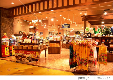 福島県　スパリゾートハワイアンズのロビーに隣接したショップ 119822977