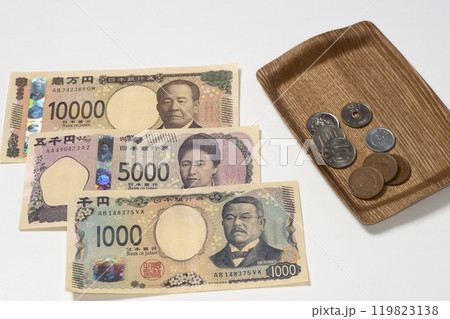 新紙幣とコインで現金払いのイメージ 新紙幣とコインで現金払いのイメージ 119823138
