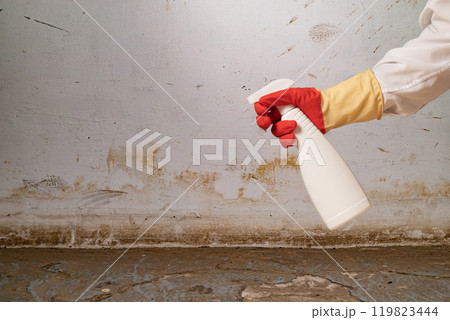 Human found mold on wall , in your residential building after renovation Human found mold on wall , in your residential building after renovation 119823444
