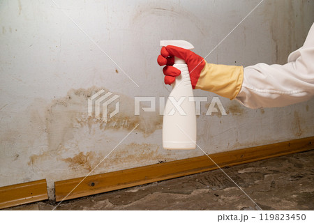 Human found mold on wall , in your residential building after renovation 119823450