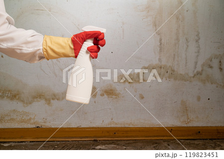 Flooding rainwater or floor heating systems, causing damage, peeling paint and mildew Flooding rainwater or floor heating systems, causing damage, peeling paint and mildew 119823451