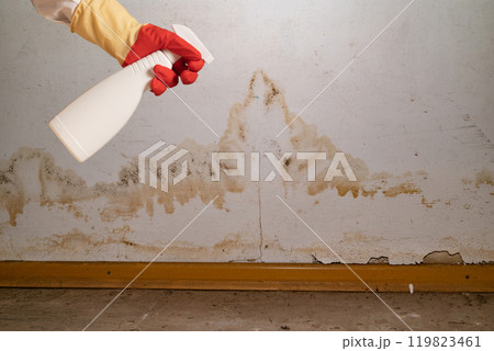 Human found mold on wall , in your residential building after renovation 119823461