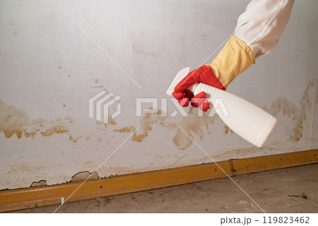 Human found mold on wall , in your residential building after renovation 119823462