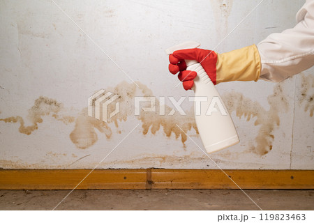 Human found mold on wall , in your residential building after renovation 119823463