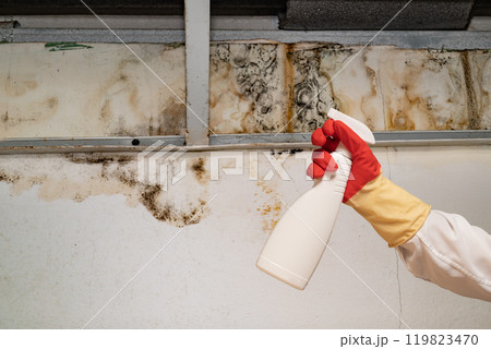Human found mold on wall , in your residential building after renovation 119823470