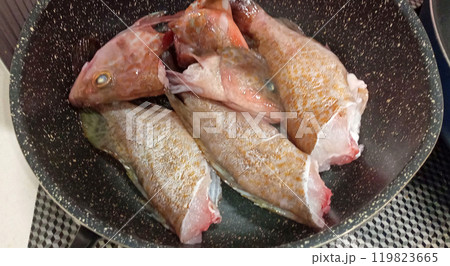 キジハタのブツ切りで煮付けを作ろうとしてる 119823665