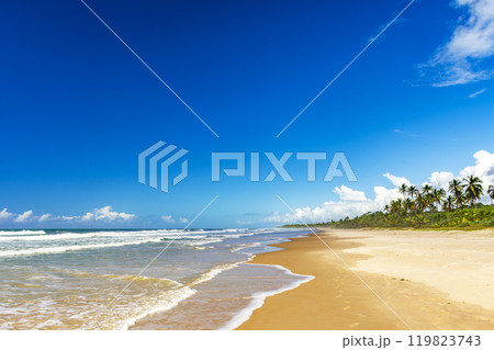 Deserted beach surrounded by coconut trees Deserted beach surrounded by coconut trees 119823743