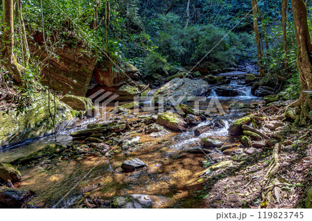 Small stream with clear waters 119823745