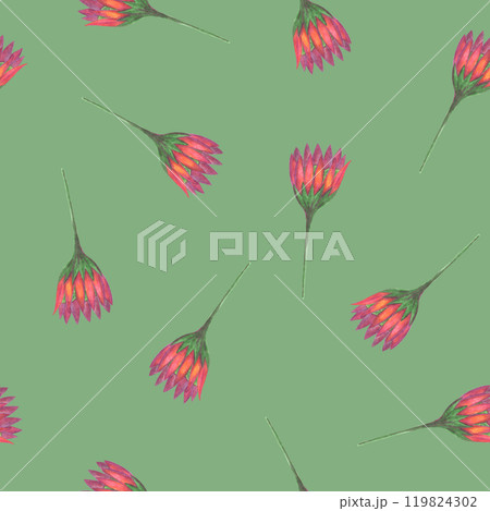 Chrysanthemum Flower Seamless Pattern. Floral Digital Paper. Chrysanthemum Flower Seamless Pattern. Floral Digital Paper. 119824302