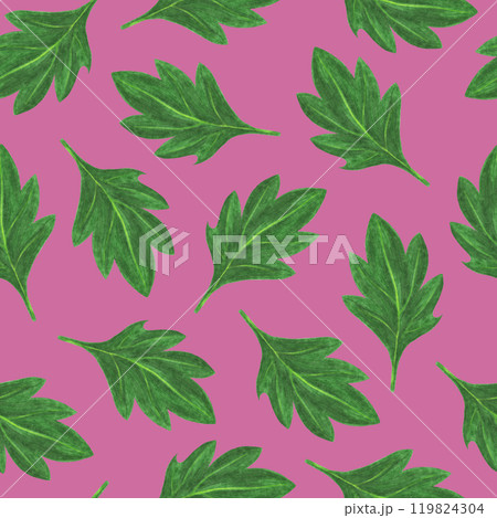 Chrysanthemum Flower Seamless Pattern. Floral Digital Paper. Chrysanthemum Flower Seamless Pattern. Floral Digital Paper. 119824304
