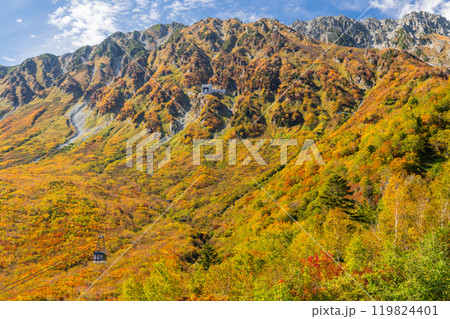 《富山県》紅葉の黒部平・立山黒部アルペンルート 《富山県》紅葉の黒部平・立山黒部アルペンルート 119824401