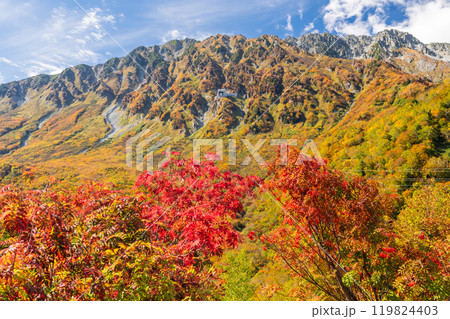 《富山県》紅葉の黒部平・立山黒部アルペンルート 119824403