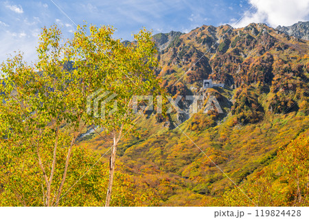 《富山県》紅葉の黒部平・立山黒部アルペンルート 《富山県》紅葉の黒部平・立山黒部アルペンルート 119824428
