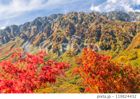 《富山県》紅葉の黒部平・立山黒部アルペンルート 《富山県》紅葉の黒部平・立山黒部アルペンルート 119824432