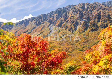 《富山県》紅葉の黒部平・立山黒部アルペンルート 《富山県》紅葉の黒部平・立山黒部アルペンルート 119824436