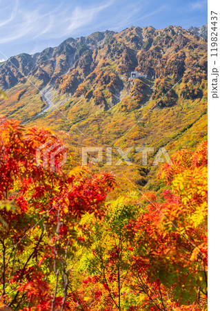 《富山県》紅葉の黒部平・立山黒部アルペンルート 《富山県》紅葉の黒部平・立山黒部アルペンルート 119824437