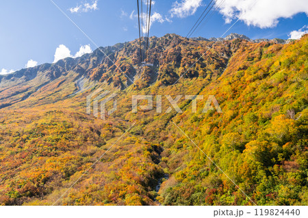 《富山県》紅葉の黒部平・立山黒部アルペンルート 《富山県》紅葉の黒部平・立山黒部アルペンルート 119824440