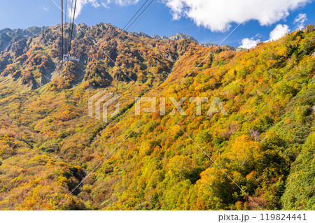 《富山県》紅葉の黒部平・立山黒部アルペンルート 《富山県》紅葉の黒部平・立山黒部アルペンルート 119824441