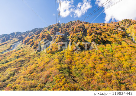 《富山県》紅葉の黒部平・立山黒部アルペンルート 119824442