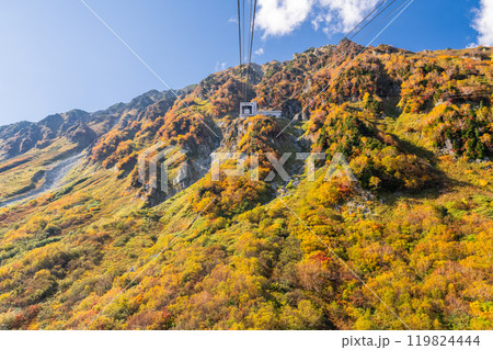 《富山県》紅葉の黒部平・立山黒部アルペンルート 119824444