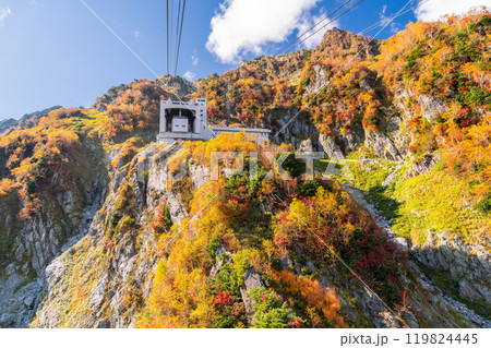 《富山県》紅葉の黒部平・立山黒部アルペンルート 119824445