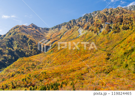 《富山県》紅葉の黒部平・立山黒部アルペンルート 《富山県》紅葉の黒部平・立山黒部アルペンルート 119824465