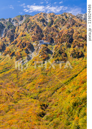 《富山県》紅葉の黒部平・立山黒部アルペンルート 《富山県》紅葉の黒部平・立山黒部アルペンルート 119824486