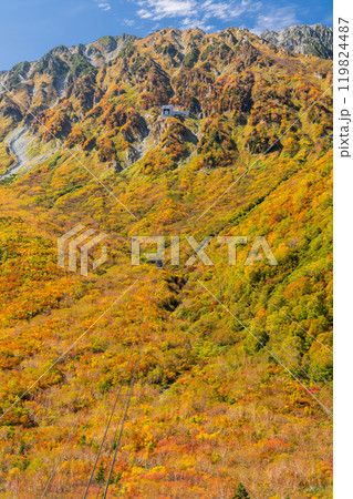 《富山県》紅葉の黒部平・立山黒部アルペンルート 119824487