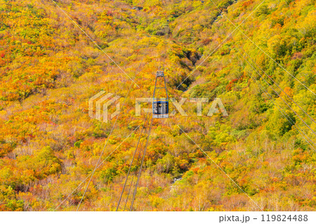 《富山県》紅葉の黒部平・立山黒部アルペンルート 119824488