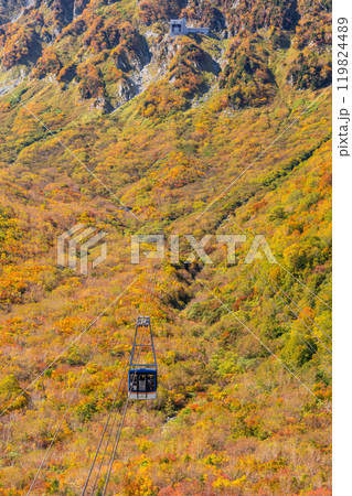 《富山県》紅葉の黒部平・立山黒部アルペンルート 119824489